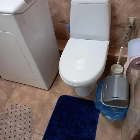 двухярусная в центре мукачева, улица мира דירה מוקצ'בה