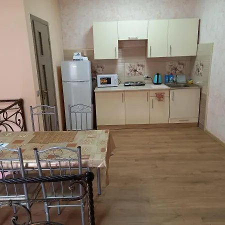 двухярусная в центре мукачева, улица мира Apartment Mukacheve